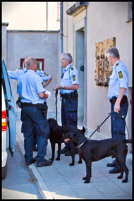 Politi med hunde