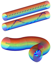 Computersimuleringer af filopodia-dynamikken