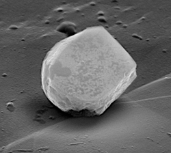 Electron microscope picture of dust