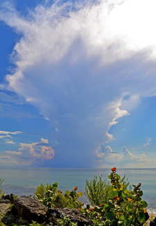 Convective clouds