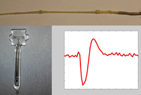 Instrument og måling magnetiseringen af frøs hjerte