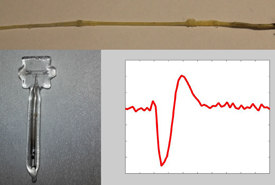 Measured magnetic field