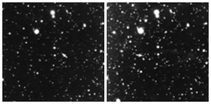 The pictures used to discover Pluto