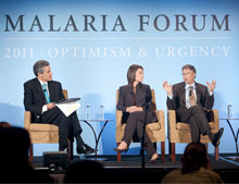 Malaria forum