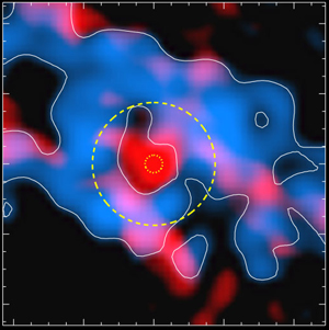 Visualization of the Protostar 