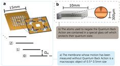 Atomic cell and Membrane