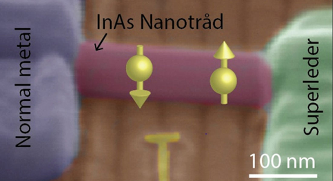 Scanning electron microscope micrograph of a semiconductor nanowire, 