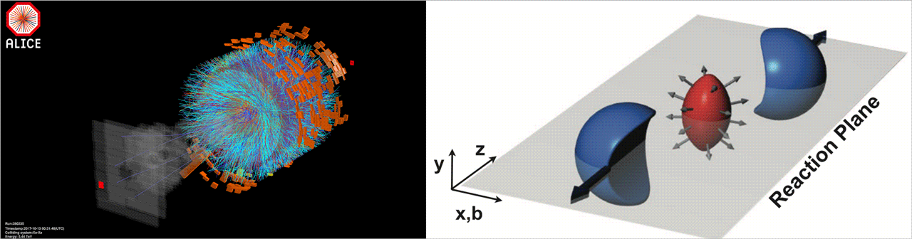 Xenon-Xenon collision at the Large Hadron Collider 