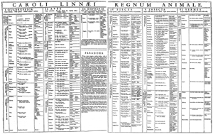 bogen Systema Naturae (1735).