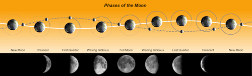 Månens faser i sin bane omkring Jorden