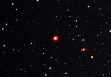 Proxima Centauri