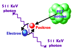 Diagram over annihilation mellem positron og electron