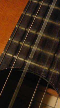 Svingning af en guitar streng