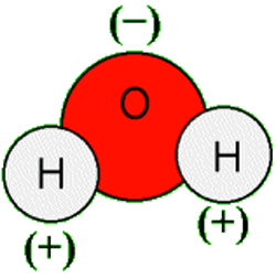 Vandmolekyle