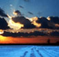 Global middeltemperatur