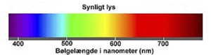 Synligt spektrum