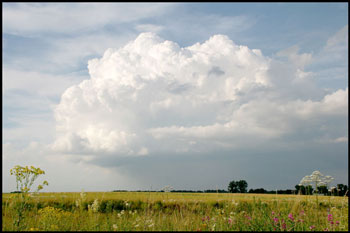 Eksempel på "convective events" i Tyskland. (Foto: Bernhard Mühr, www.wolkenatlas.de)