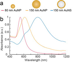 The absorptions of different nanoparticles