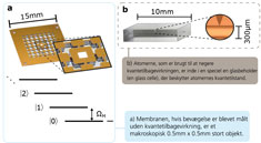 Atom-celle og membran