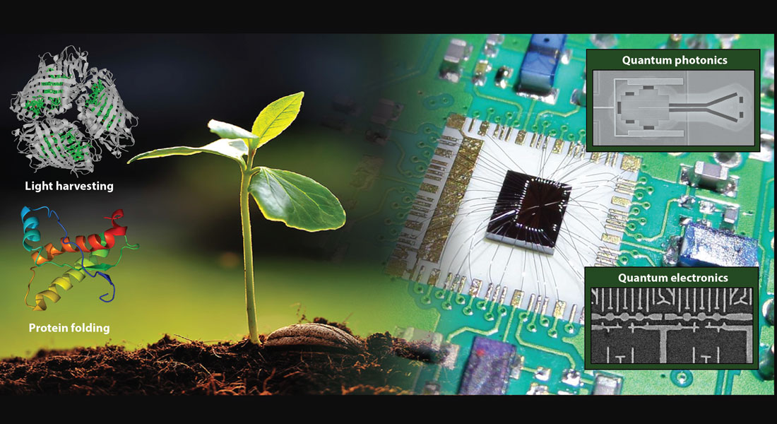 Det nye forskningsprogram Solid-state quantum simulators for biochemistry (SolidQ) samler forskere fra både Center for Hybrid Quantum Networks, Center for Quantum Devices og Kemisk Institut, og fokuserer på udviklingen af kvantesimulatorer.