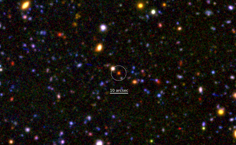 Forstørrelse af en lille del af Subaru/XMM-Newton Deep Field.