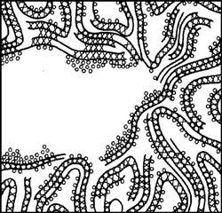 The structure of fresh cement paste