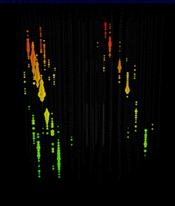 Observations of Muons visualized