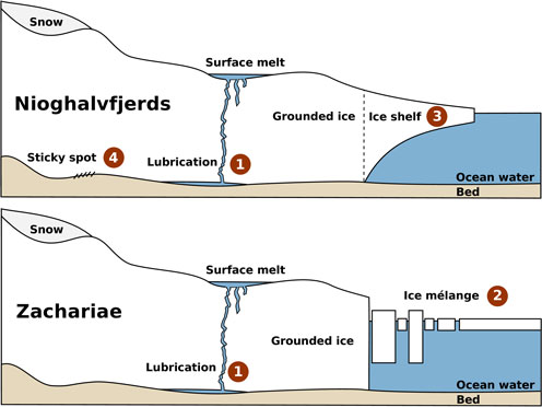 Comparison of the structure of Nioghalvfjerds and Zachariea