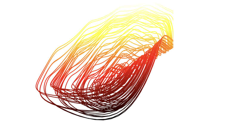 Figure showing the strange attractor of the NF-kB network.