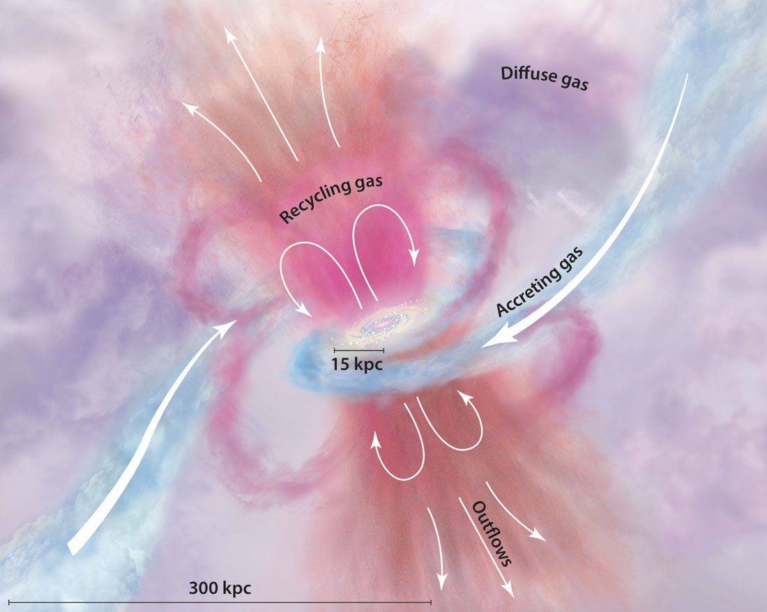 Illustration of galaxy formation: Diffuse gas from intergalactic space plummets toward the center, sparking star formation and becoming part of the galaxy’s rotating disk. When stars die, they return their gas to the galaxy (and the intergalactic space), now enriched with heavy elements. Credit: Tumlinson et al. (2017).