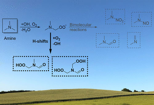 Modeling life-climate interactions