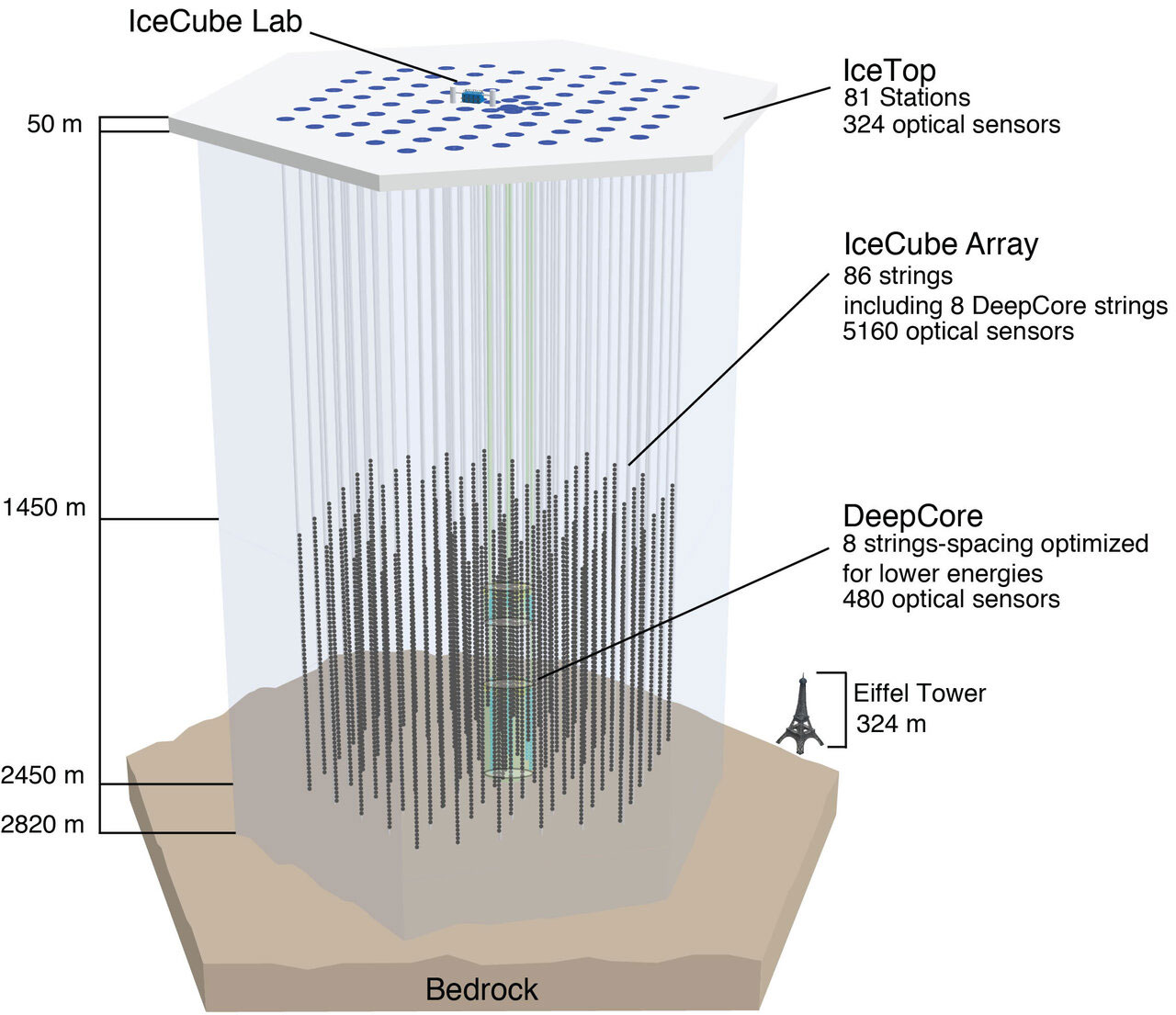 A schematic of the in-ice portion of IceCube