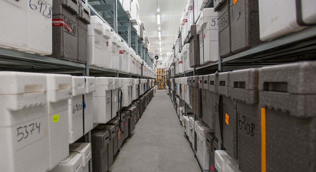 Ice core facilities at PICE