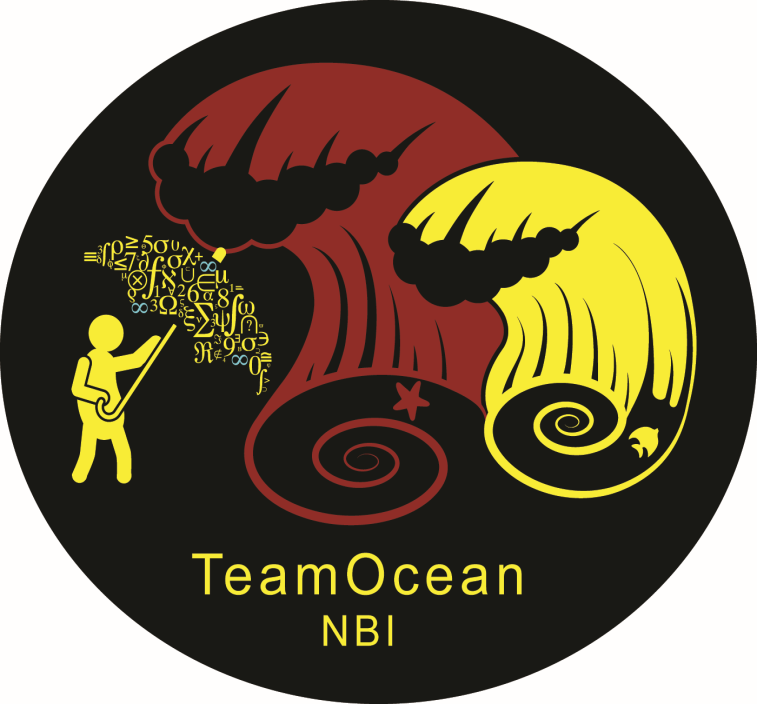 TeamOcean logo