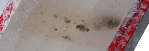 Inclined layer of dirt in the ice core at 574 m depth (bag 1044). 