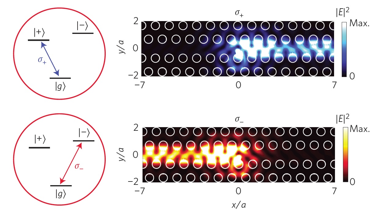 Calculated emission of circular transition dipoles into a photonic crystal waveguide