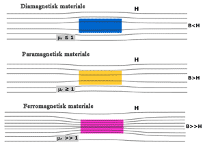 Forskellige magneter i eksternt magnetfelt
